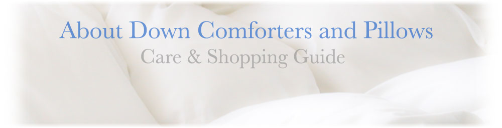 Down Comforter Info Header