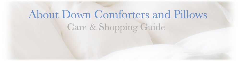 Where to Shop For Quality Down Comforters and Pillows